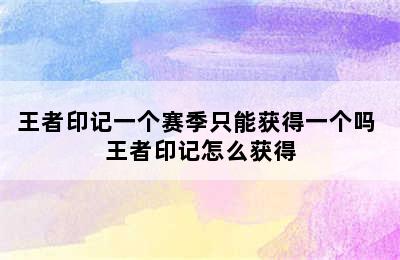 王者印记一个赛季只能获得一个吗 王者印记怎么获得